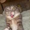 istr7ke
