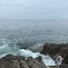 rnaklil