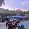 whyuuu274