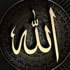 ucar.ucar260