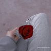 ammah612