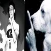 ilove90shahaha