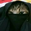 bint_adnn
