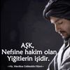 turkan.sayilova