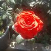 user8622441199476
