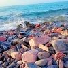 ali.dheere14