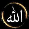 seymur_zeynalov48
