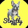 strictlypupsback