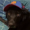shea.mcgra