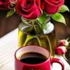 user8311079262676