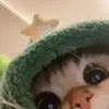 jhon_iris