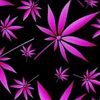 user2472320166573