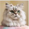 @PurrfectAI