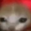 bananadocaps0