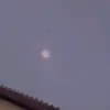 silvaxs_sm