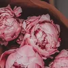 Buồn Của Em🕊️