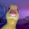 zahraa_ali867