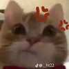 nhonphg