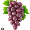 grapes5419