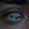 xr_srchv24