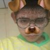 myat.thu.ta.aung8
