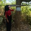 syuantik0