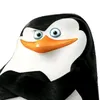alex_64465