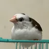 u021660