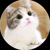 salman.alfarizhy6