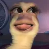 akoaywikang