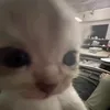 huhahiho011