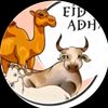 atlitmuda44