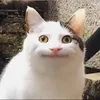 name_bum3