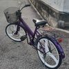 ponn847