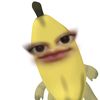 alssptn