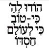 shira11711