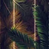 badr.sbaa