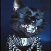 whosgotsugar