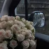 sa1dovaaa_