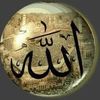 alouimustapha