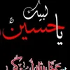 user87812416866523