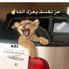 user447125771275