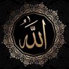 husseina235
