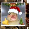 crhistmasduck