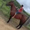 user917375616398