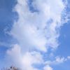 nadd_017