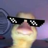 dgkhky