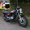 ygaa2stroke