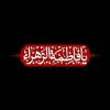 abedelzahraa110