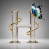 habiba.adil94